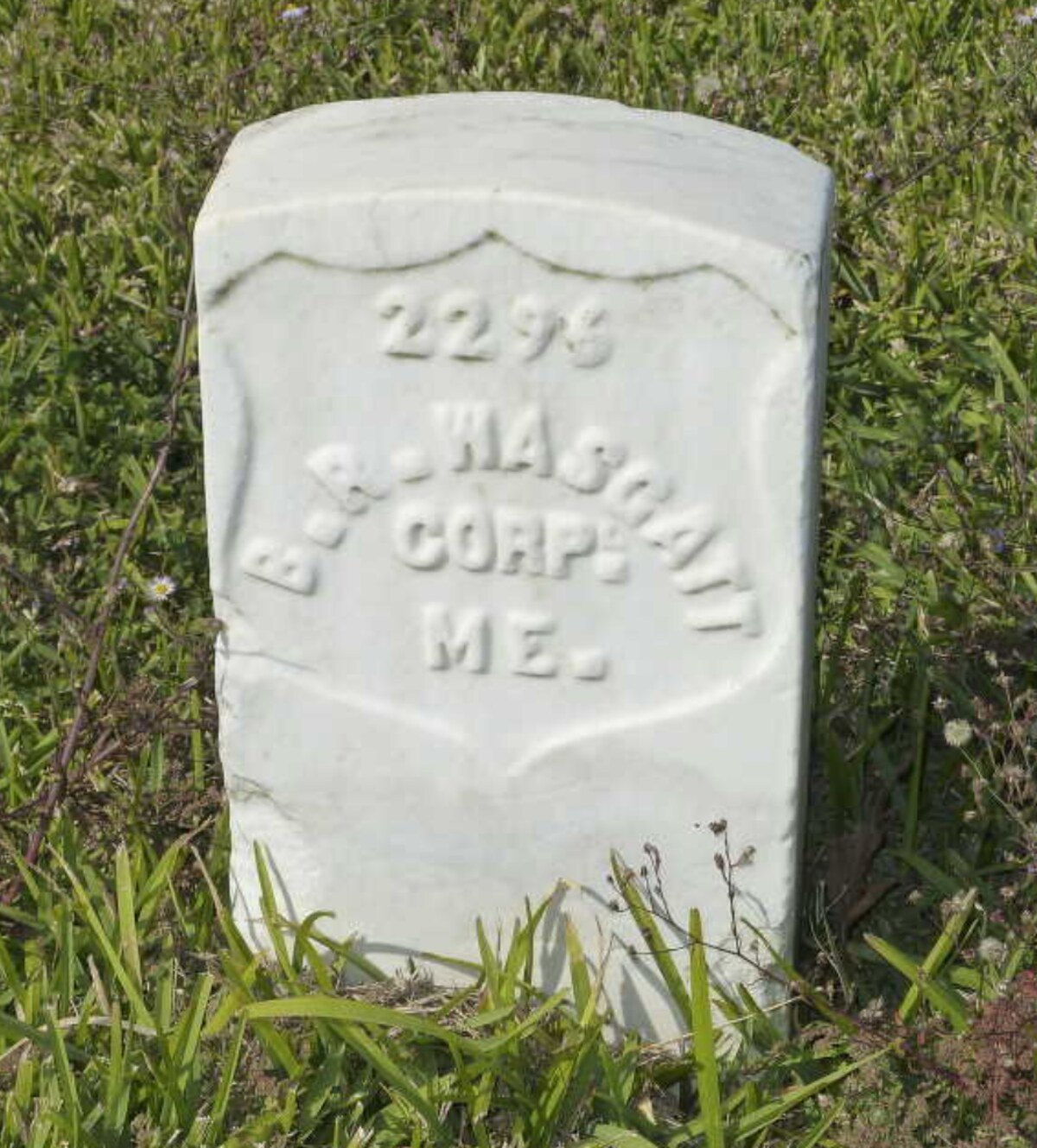 A small white marble military headstone in grass. The shield-shaped inscription reads '2298 / B.R. WASGATT / CORPL / ME.'